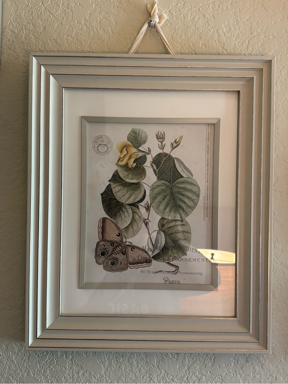 CREAM Frame w/French Botanical Print | Owl Butterfly | Custom Matted | 15” x 18”